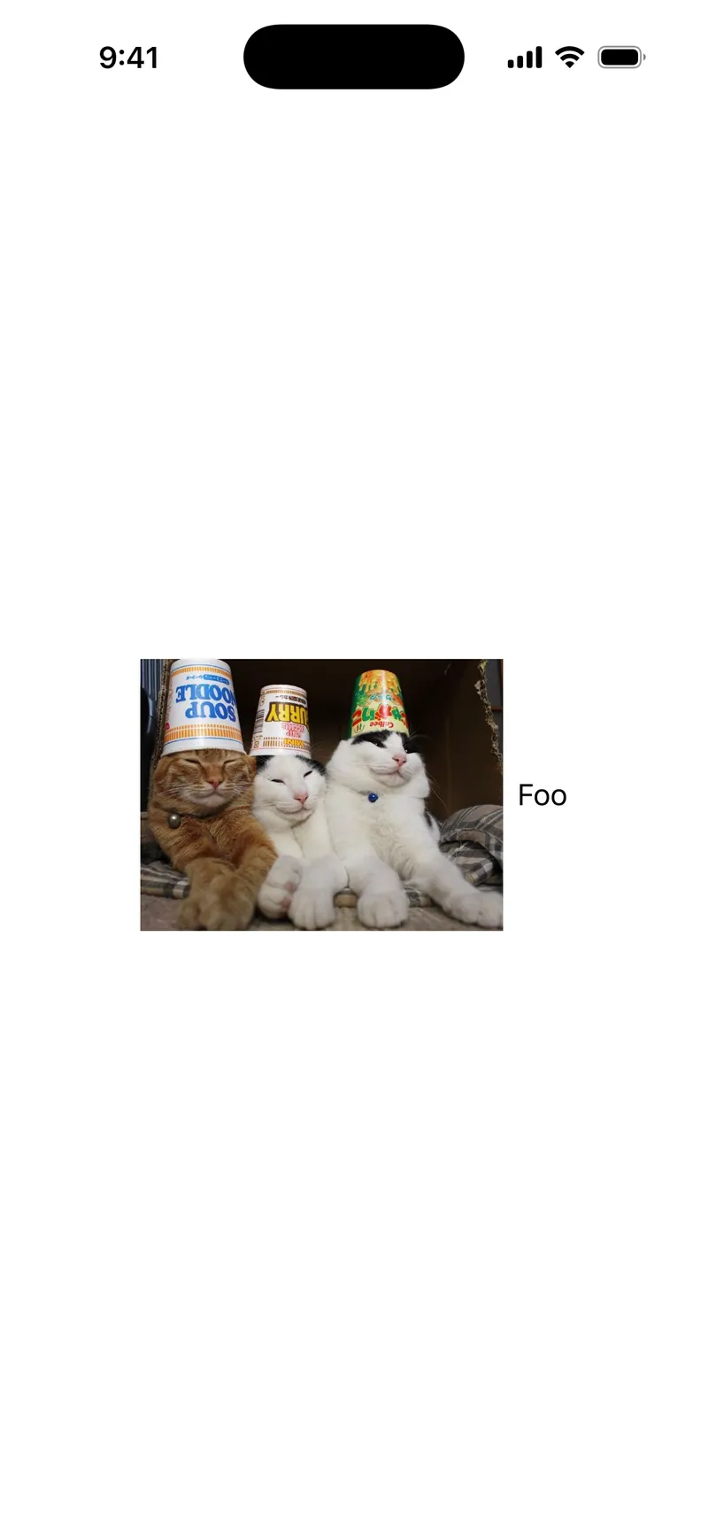 Image Label - iOS Liquid Glass Light Mode Preview