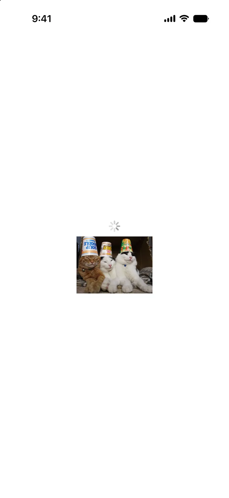 Async URL Image With Custom Placeholder - iOS Liquid Glass Light Mode Preview