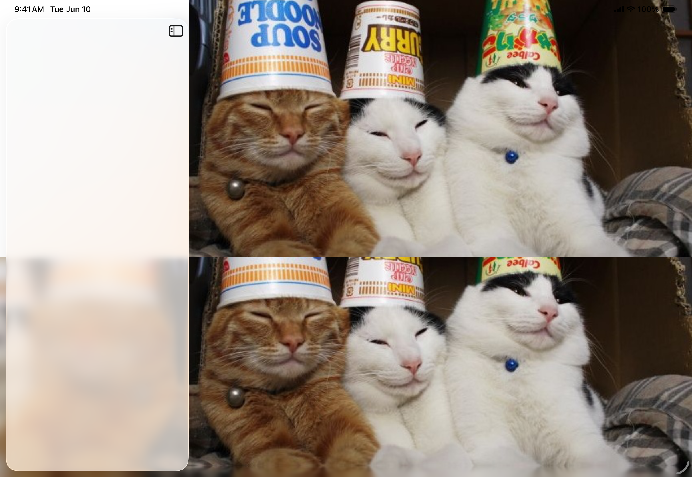 Background Extension Effect - iPadOS Liquid Glass Light Mode Preview